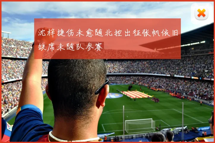 沈梓捷伤未愈随北控出征张帆依旧缺席未随队参赛