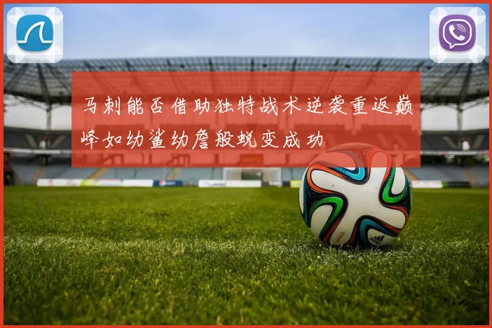 马刺能否借助独特战术逆袭重返巅峰如幼鲨幼詹般蜕变成功