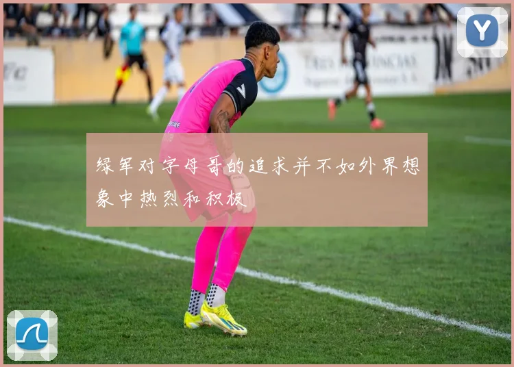 绿军对字母哥的追求并不如外界想象中热烈和积极